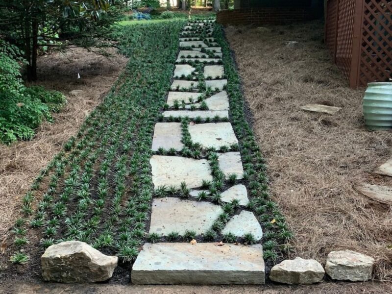 Lush evergreen Dwarf Mondo Grass walkway with stepping stones wrapping around a home, built by Atlanta Waterscapes